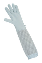 Load image into Gallery viewer, OZ ARMOUR Cow Hide Gloves with three Layer Mesh Ventilation
